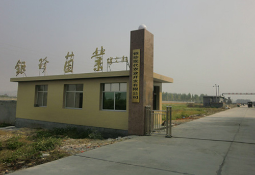 菇廠整廠設(shè)計