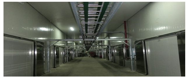 （寧夏）科技局給予本司技術(shù)人員王小軍、屈安民有機(jī)杏鮑菇高產(chǎn)技術(shù)創(chuàng)新表彰會(huì)的通報(bào)